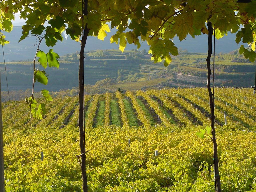 Passirano B&B Camignone Franciacorta المظهر الخارجي الصورة